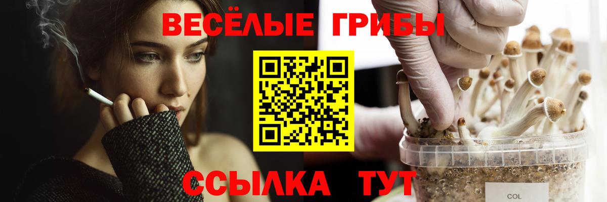 Псилоцибиновые грибы Cubensis  Вход с VPN  как найти   Псилоцибиновые грибы Cubensis  Владимир 